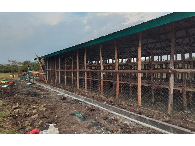 Bee shed construction