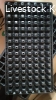 Plant seedlings trays for sale