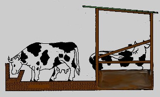 zero-grazing_side_elevation20