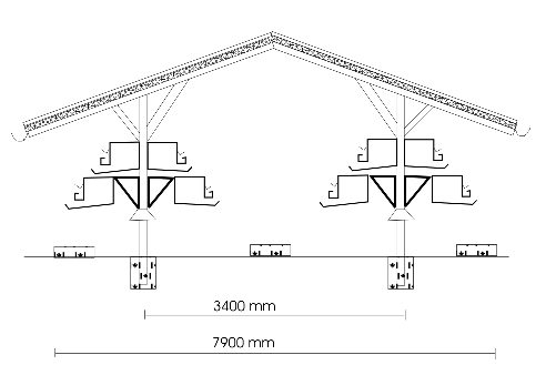 Open layer house and cage arrangement